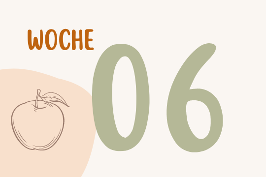 Woche 6 - Eine Strichzeichnung von einem Apfel