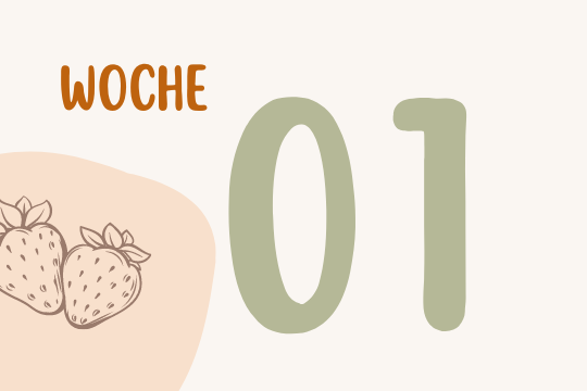 Woche 1 - eine Strichzeichnung von Erdbeeren